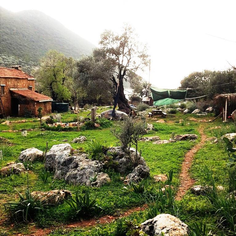 Hiker'S Inn-Purple House Kaleucagiz Екстер'єр фото